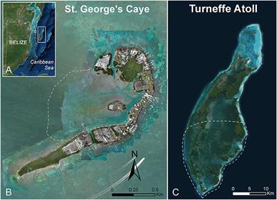 Bottlenose Dolphins and Antillean Manatees Respond to Small Multi-Rotor Unmanned Aerial Systems